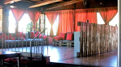 Ristorante di 150 m² in Ardea (00040)