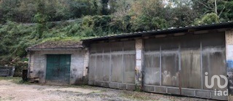 Capannone di 1.200 m² in Cantiano (61044)