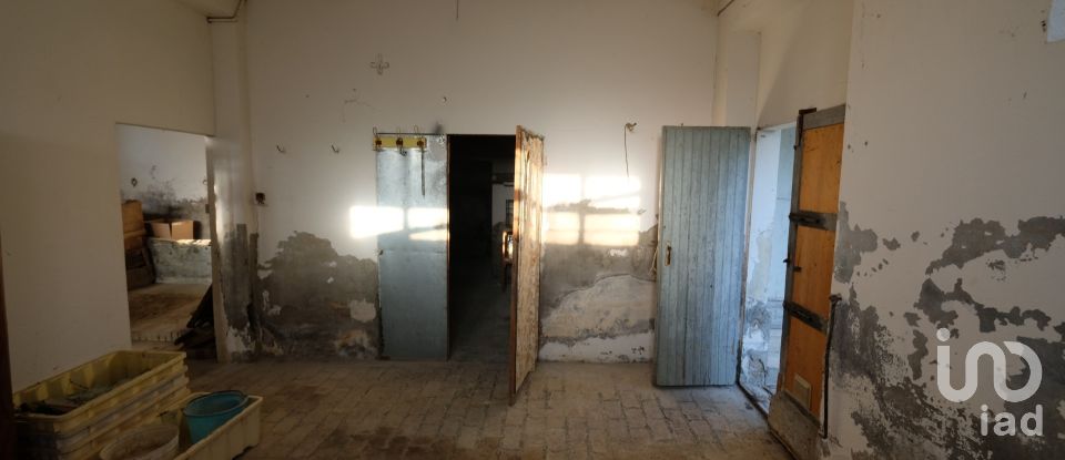 Casa indipendente 8 locali di 162 m² in Belvedere Ostrense (60030)