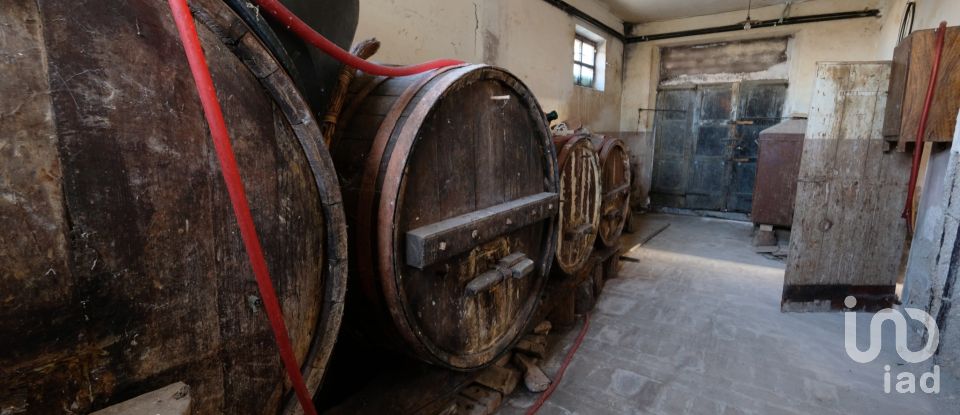 Casa indipendente 8 locali di 162 m² in Belvedere Ostrense (60030)