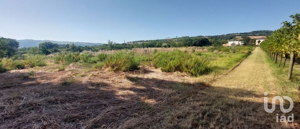 Agricultural land of 1,600 m² in Albinea (42020)