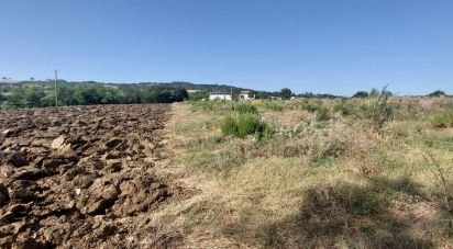 Land of 1,000 m² in Albinea (42020)