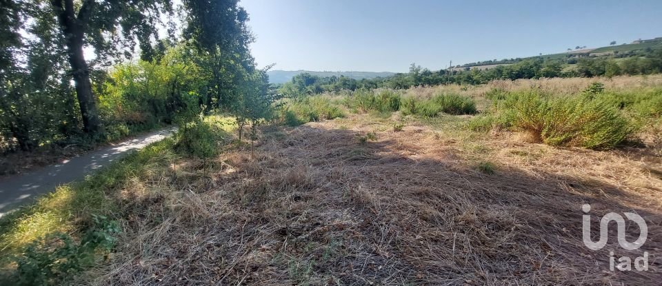 Land of 1,000 m² in Albinea (42020)
