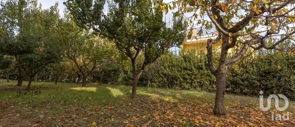 Casale 7 locali di 200 m² in Acquaviva Picena (63075)