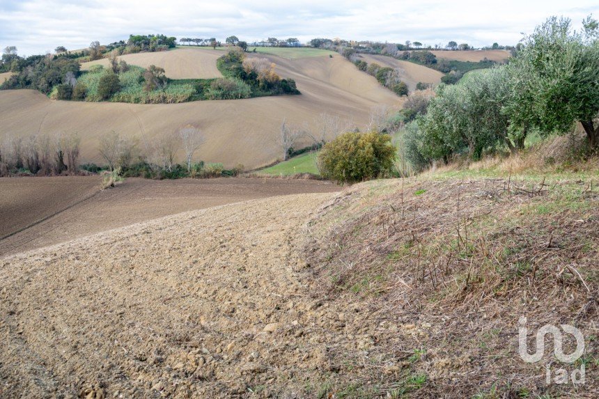 Terreno agricolo di 150.000 m² in Osimo (60027)