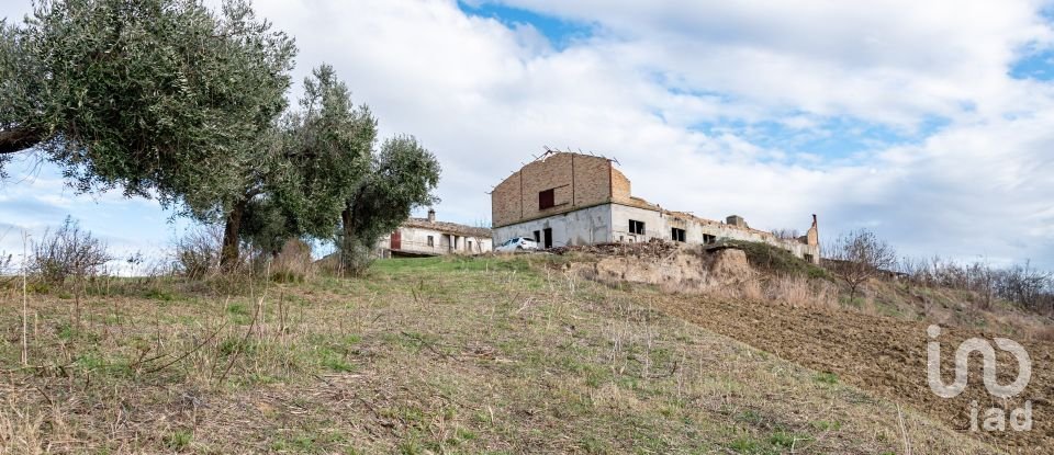 Terreno agricolo di 150.000 m² in Osimo (60027)