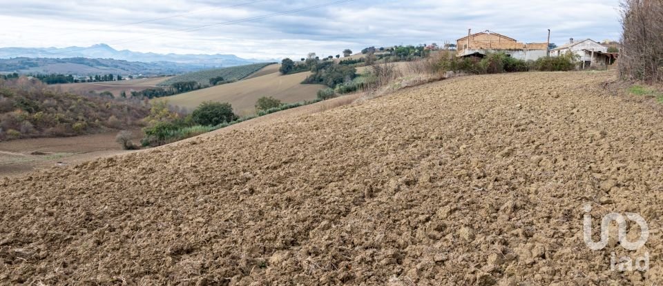 Agricultural land of 150,000 m² in Osimo (60027)