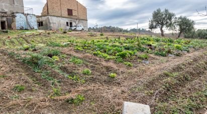 Country home 8 rooms of 660 m² in Osimo (60027)