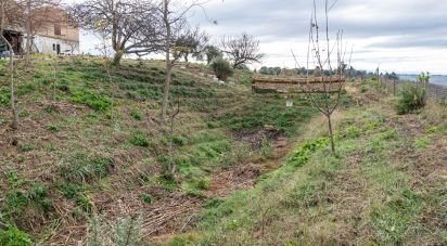 Country home 8 rooms of 660 m² in Osimo (60027)