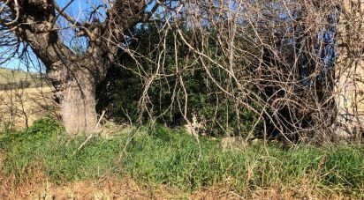 Rustico 3 locali di 90 m² in Osimo (60027)