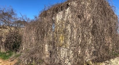 Rustico 3 locali di 90 m² in Osimo (60027)