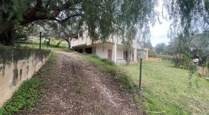 Farm 3 rooms of 110 m² in Trabia (90019)