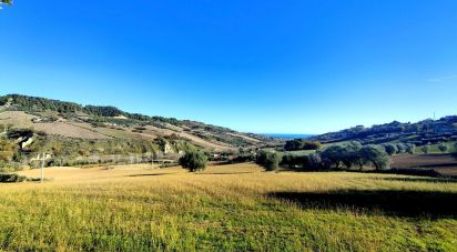 Rustico 0 locali di 900 m² in Monteprandone (63076)