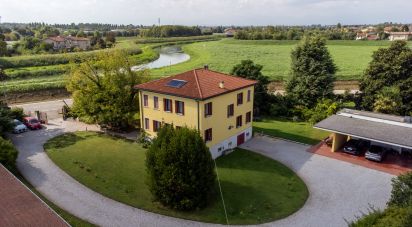 Farm 11 rooms of 383 m² in Oderzo (31046)