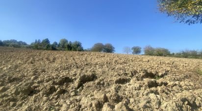 Casa indipendente / Villa 10 locali di 300 m² in Castel di Lama (63082)