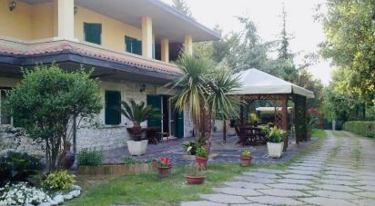 House 14 rooms of 207 m² in Canzano (64020)