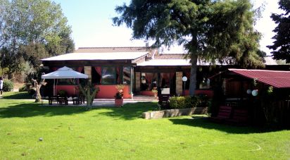 Casale 7 locali di 150 m² in Ardea (00040)