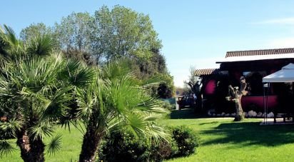 Casale 7 locali di 150 m² in Ardea (00040)