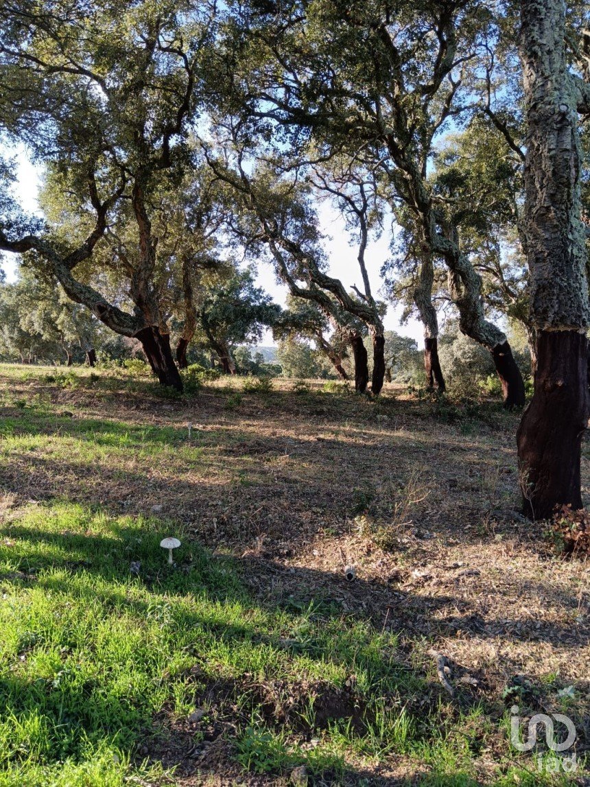 Terreno di 40.000 m² in Telti (07020)