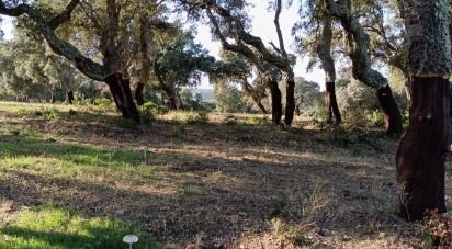 Terreno di 40.000 m² in Telti (07020)