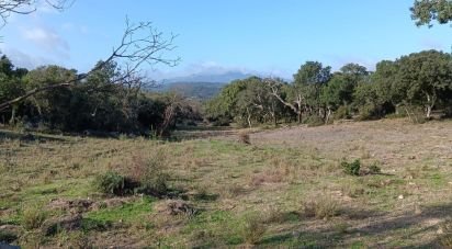 Land of 40,000 m² in Telti (07020)