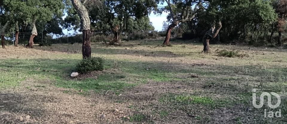 Terreno di 40.000 m² in Telti (07020)