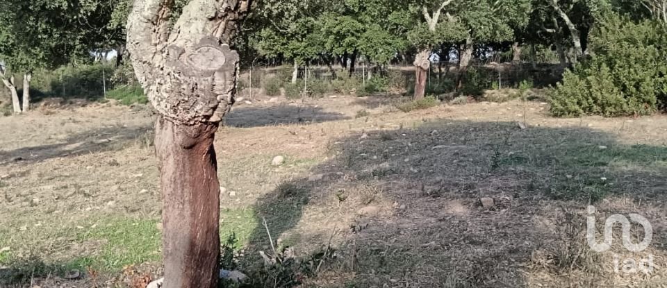 Terreno di 40.000 m² in Telti (07020)