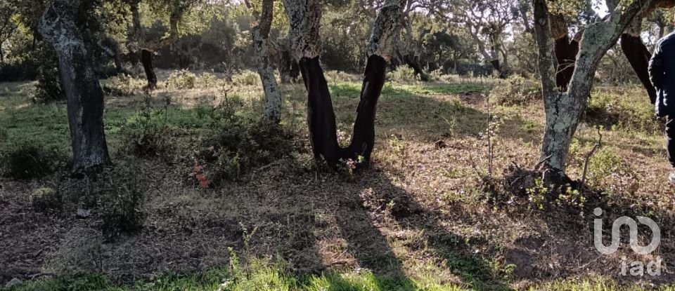 Terreno di 40.000 m² in Telti (07020)