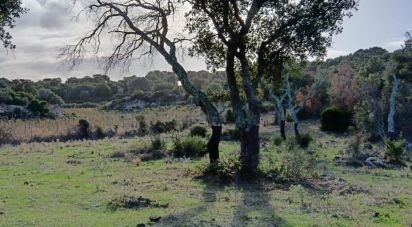 Land of 40,000 m² in Telti (07020)