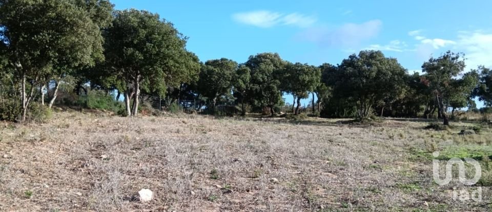 Terreno di 40.000 m² in Telti (07020)