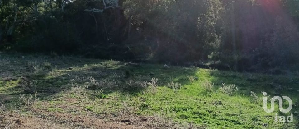 Terreno di 40.000 m² in Telti (07020)