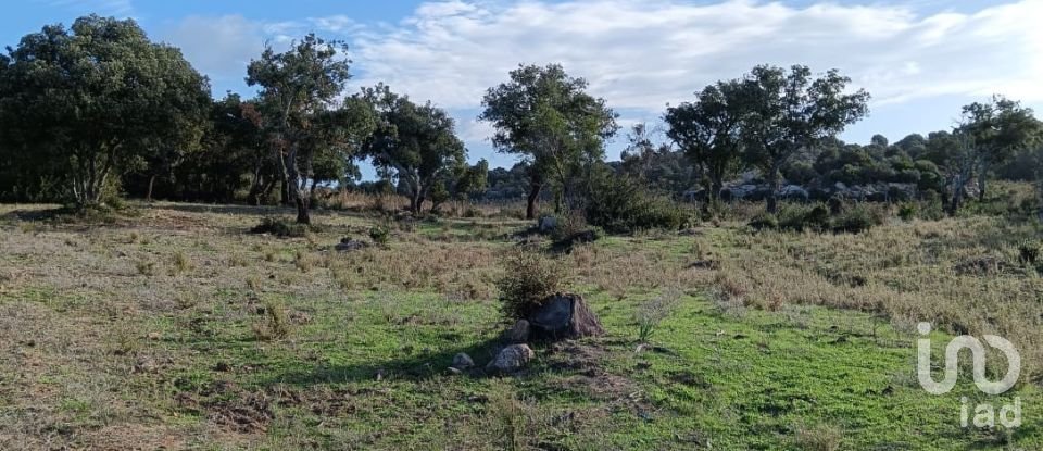 Terreno di 40.000 m² in Telti (07020)