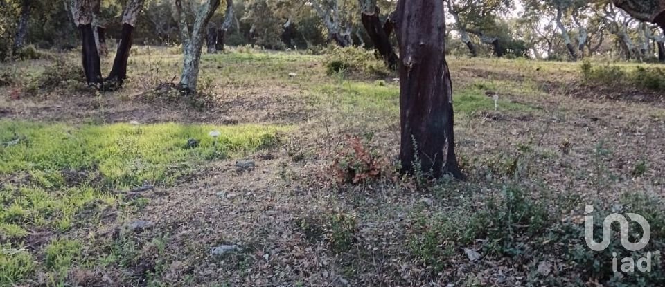 Terreno di 40.000 m² in Telti (07020)