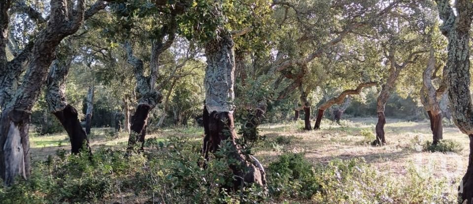 Terreno di 40.000 m² in Telti (07020)