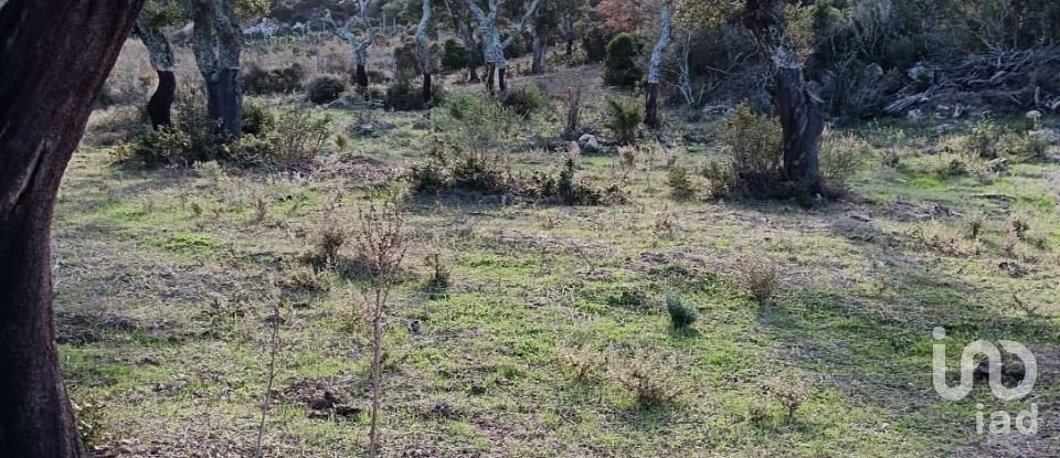 Terreno di 40.000 m² in Telti (07020)