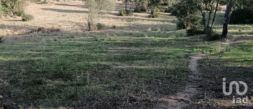 Terreno di 40.000 m² in Telti (07020)