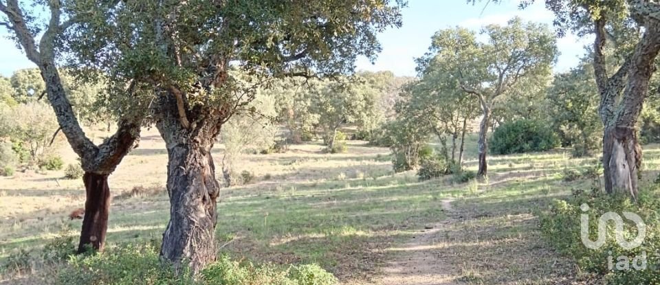 Terreno di 40.000 m² in Telti (07020)