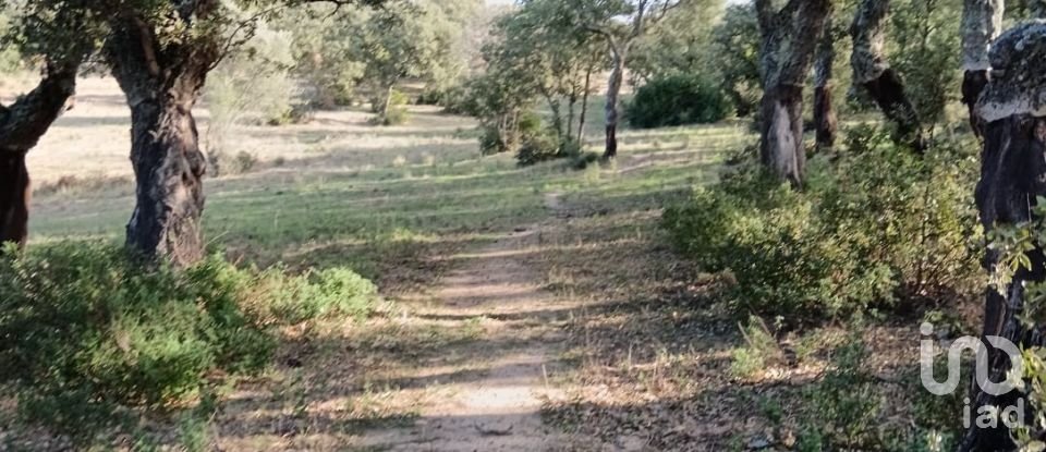 Terreno di 40.000 m² in Telti (07020)