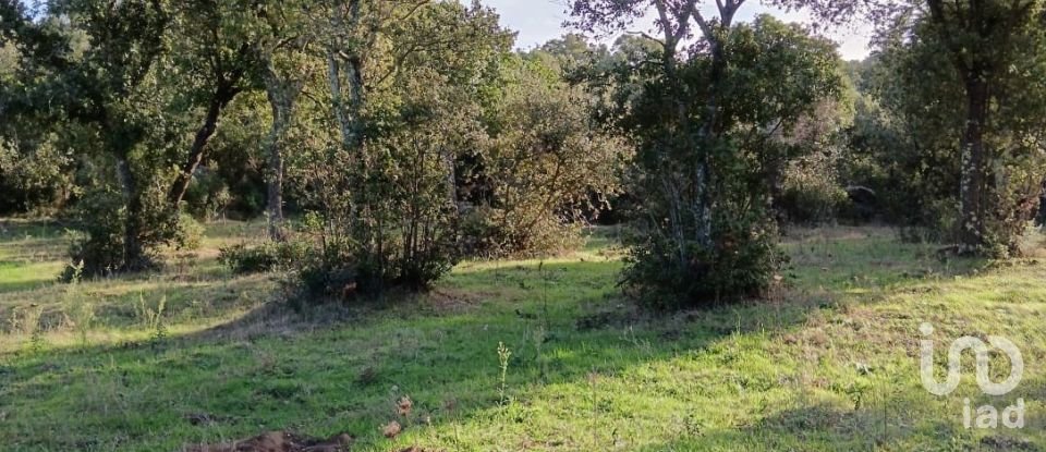 Terreno di 40.000 m² in Telti (07020)