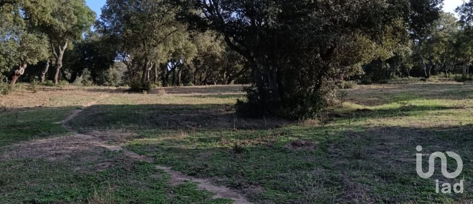 Terreno di 40.000 m² in Telti (07020)