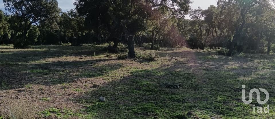 Terreno di 40.000 m² in Telti (07020)