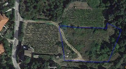 Terreno di 3.894 m² in Calangianus (07023)