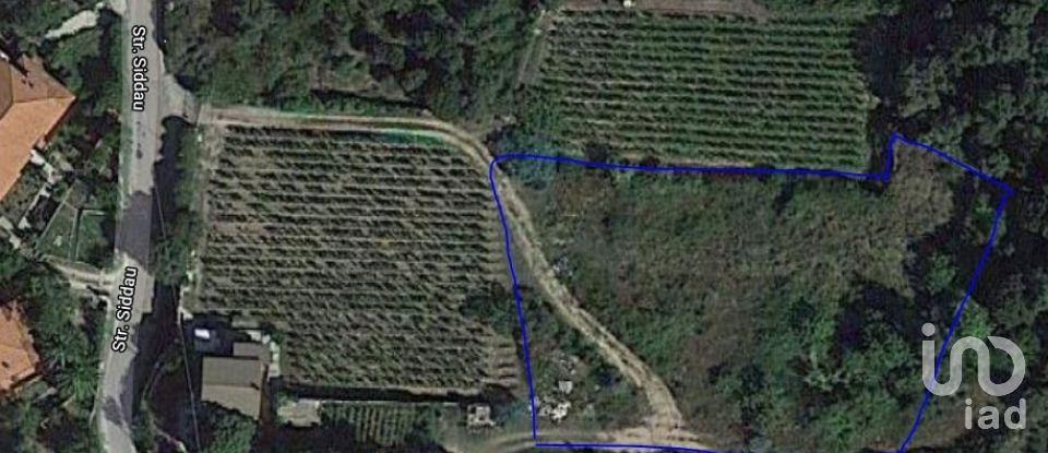 Terreno di 3.894 m² in Calangianus (07023)