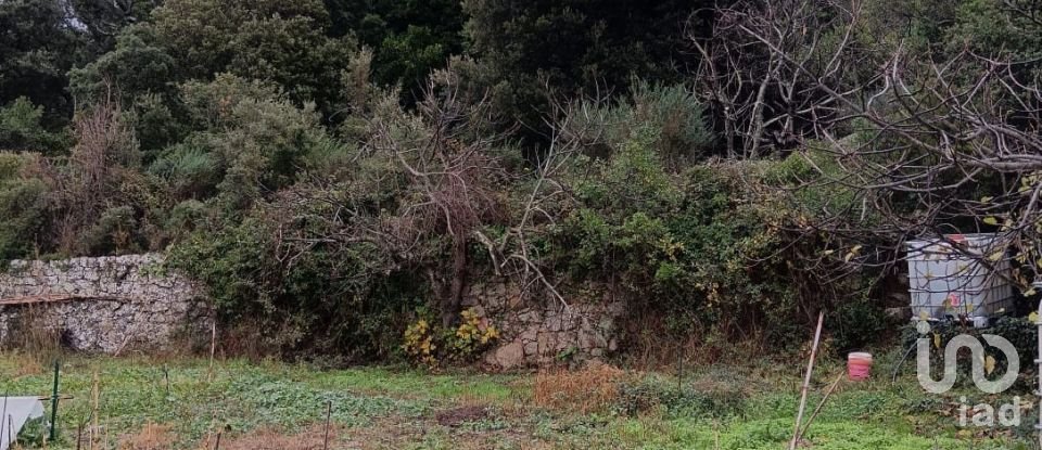 Terreno di 3.894 m² in Calangianus (07023)