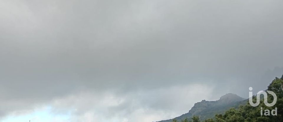 Terreno di 3.894 m² in Calangianus (07023)