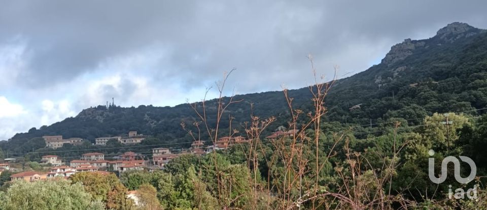 Terreno di 3.894 m² in Calangianus (07023)