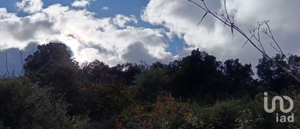 Terreno di 3.894 m² in Calangianus (07023)