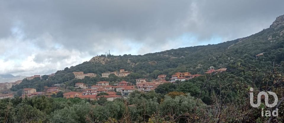 Terreno di 3.894 m² in Calangianus (07023)