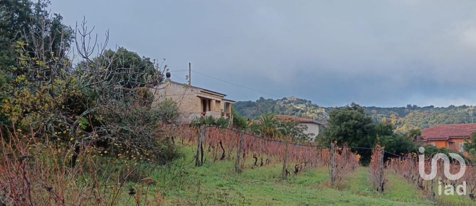 Terreno di 3.894 m² in Calangianus (07023)