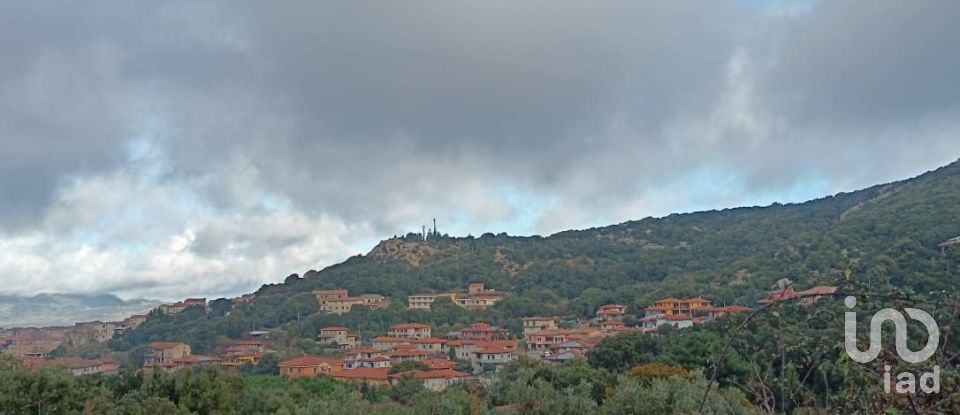 Terreno di 3.894 m² in Calangianus (07023)